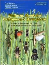 Blattaria, Mantodea, Orthoptera & Dermaptera of the Czech and Slovak Republics