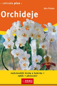 Orchideje - Zahrada plus