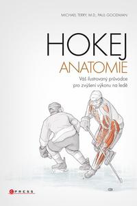 Hokej - anatomie