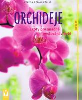 Orchideje – exoty pro snadné pěstování v bytě