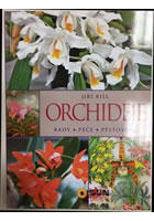Orchideje 