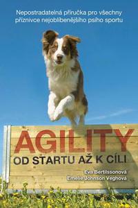 Agility od startu až k cíli