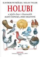 Holubi