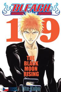 Bleach 19 - Black Moon Rising