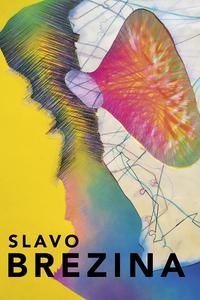 Slavo Brezina - monografia
