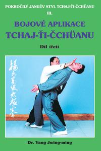  Bojové aplikace taichi 1