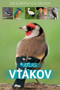 Atlas vtákov