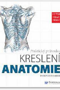 Anatomie - Praktický průvodce kreslení