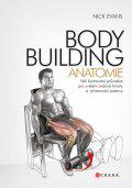 Bodybuilding - Anatomie