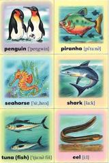 Pexeso: Ryby a vodné zvieratá - Nájdi dvojicu / English: Fish & Water Animals - Find the Pair